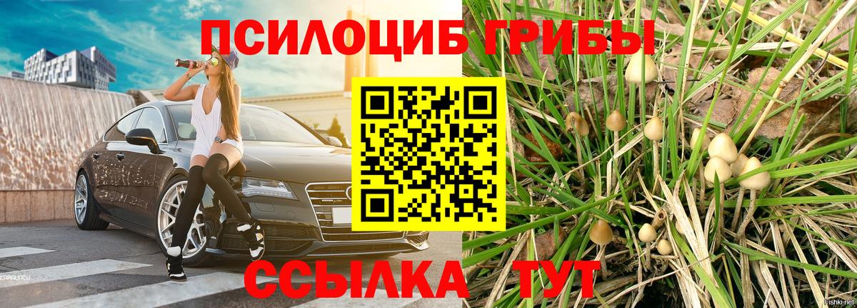 Галлюциногенные грибы мицелий  Вход с VPN  Галлюциногенные грибы Psilocybine cubensis  Ярцево 